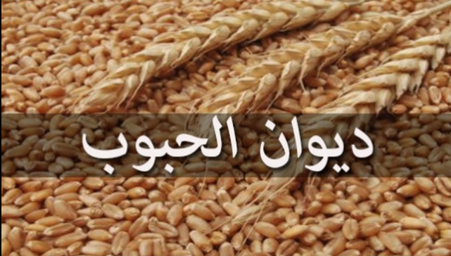 حسب مرصد "رقابة".. ديوان الحبوب أفلس وأزمة خبز مرتقبة